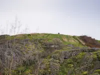 View 21