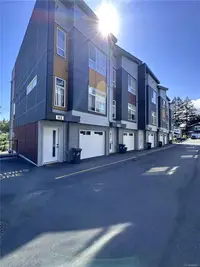 View 51