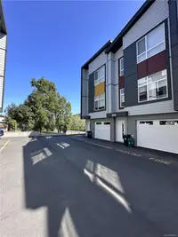 View 50