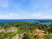 View 50