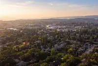 View 42