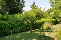 View 34