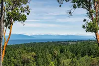 View 41