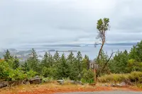 View 41