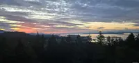 View 55