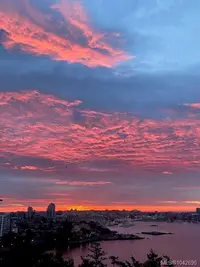 View 56
