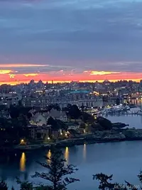 View 60