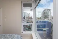 View 19