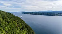 View 71
