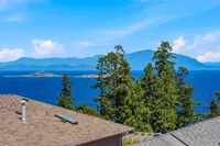 View 50