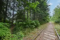 View 15