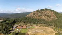 View 11