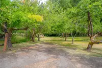 View 65