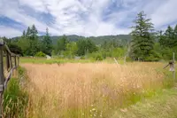 View 68
