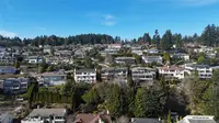 View 80