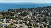 View 81