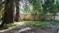 View 35