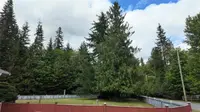 View 60