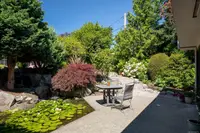 View 42