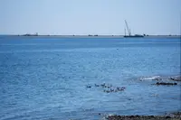 View 32