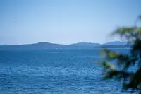 View 33