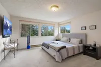 View 19