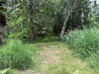 View 66
