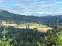 View 49