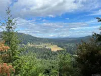 View 51