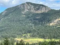 View 50