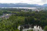 View 38
