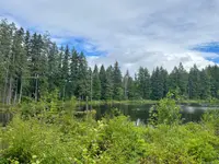 View 41