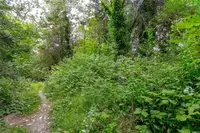 View 39