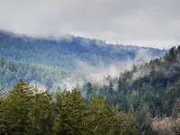 View 21