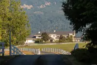 View 14