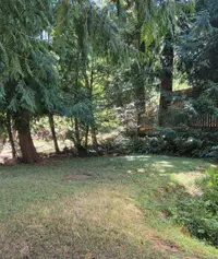 View 10