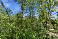 View 49