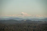 View 49