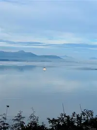 View 6