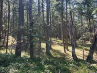 View 13