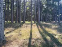 View 16
