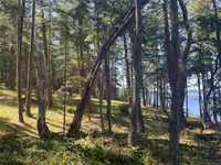 View 12