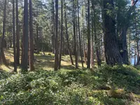 View 14