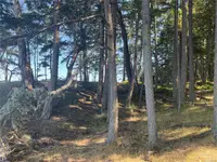View 11