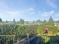 View 40