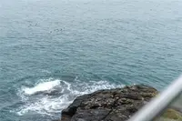 View 32