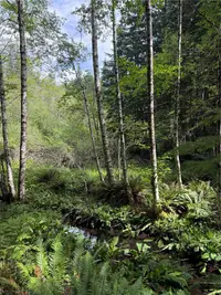 View 17