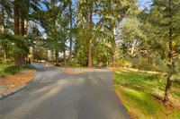 View 53