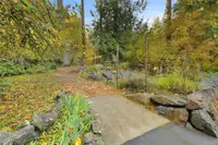 View 50