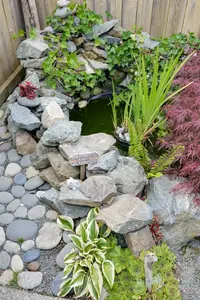 View 24